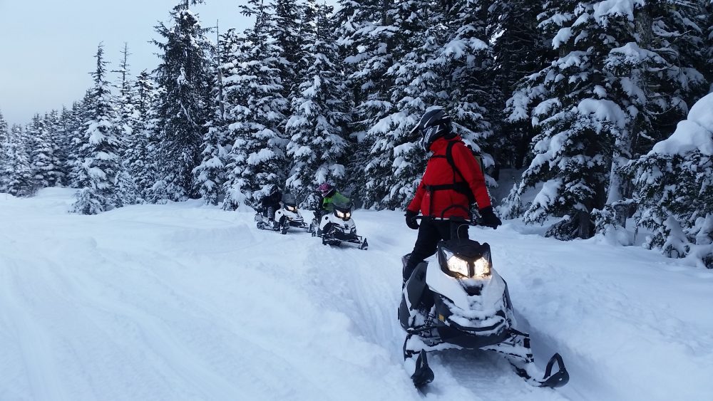 alaska snowmobile tour